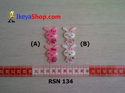 rsn 134 A B  large2